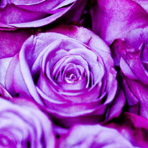 免费ddos压力测试平台