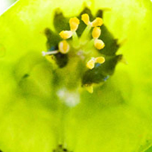 稳定不闪退的ddos在线攻击工具